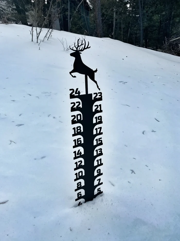 🔥Early Christmas Sale 50% - Iron Art Snow Gauge