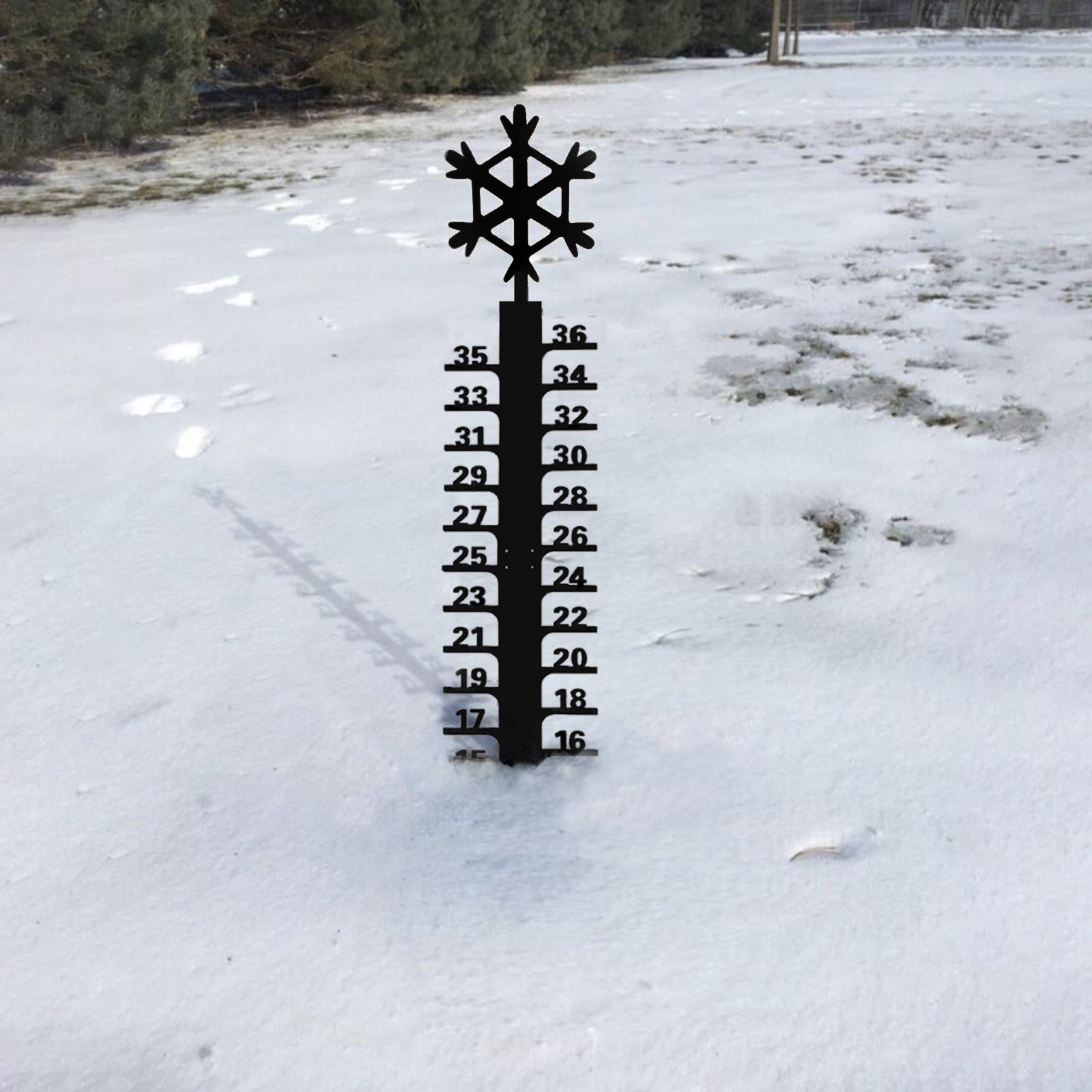 🔥Early Christmas Sale 50% - Iron Art Snow Gauge