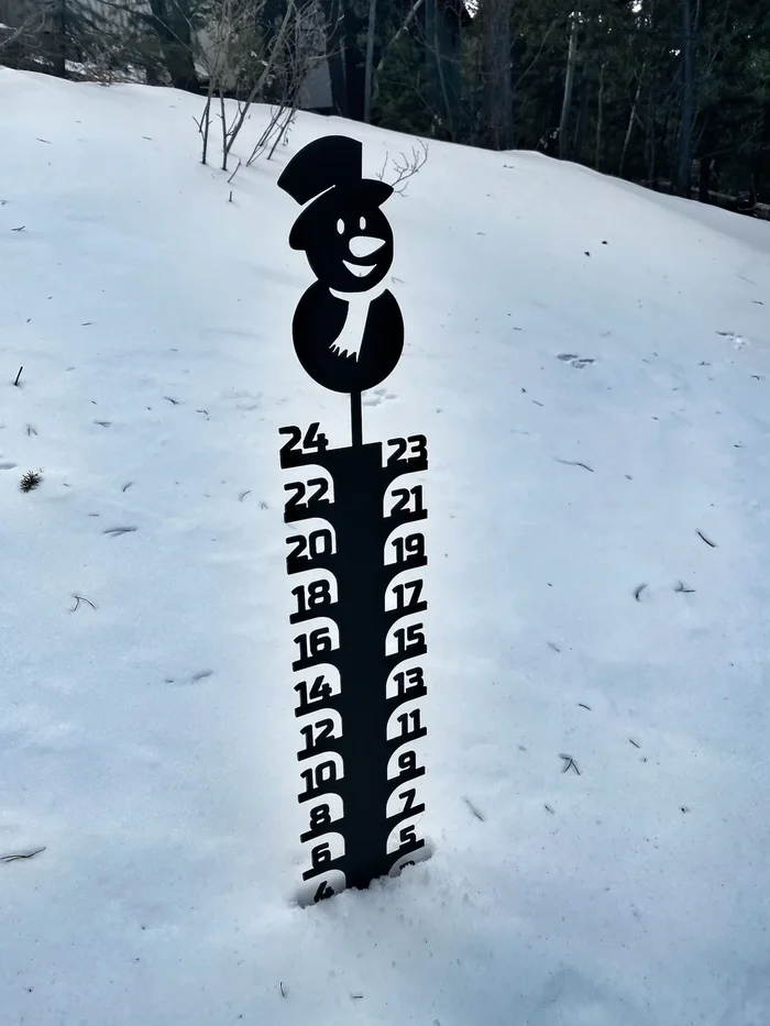 🔥Early Christmas Sale 50% - Iron Art Snow Gauge