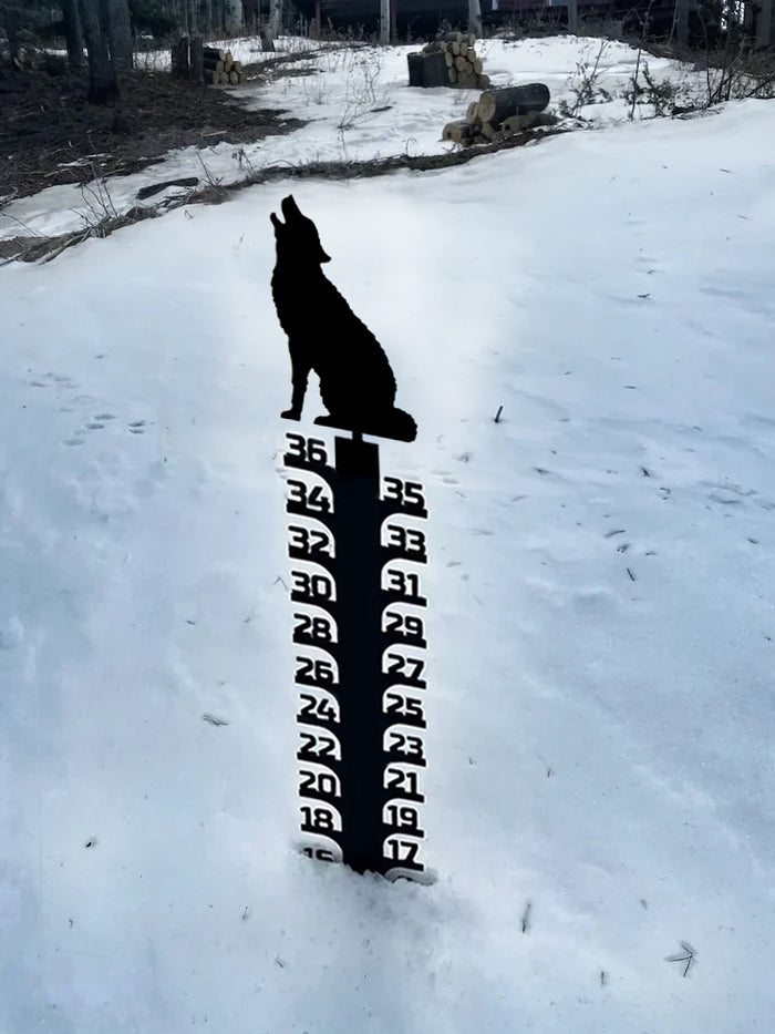 🔥Early Christmas Sale 50% - Iron Art Snow Gauge