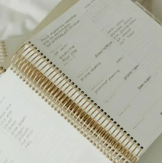 🔥Hot Sale 49%OFF🔥 2025 Daily Planner