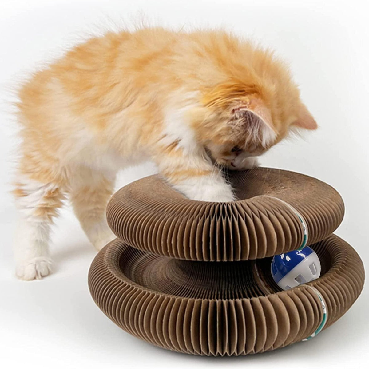 🎁Hot Sale🔥Magic Cat Scratching Board