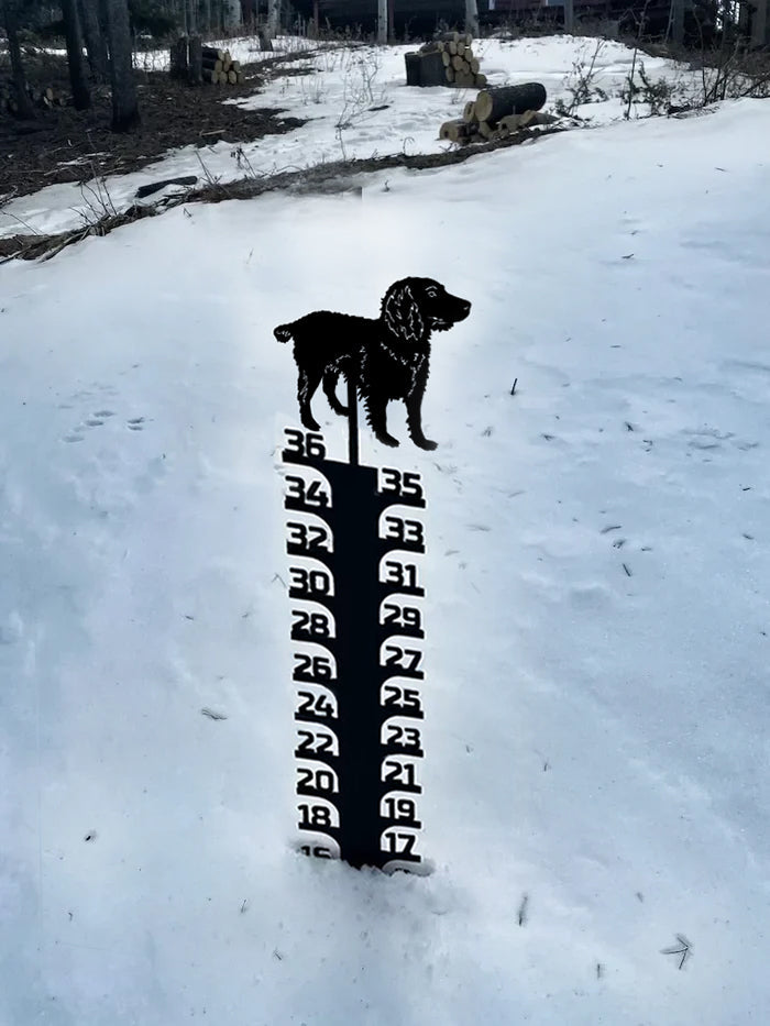 🔥Early Christmas Sale 50% - Iron Art Snow Gauge