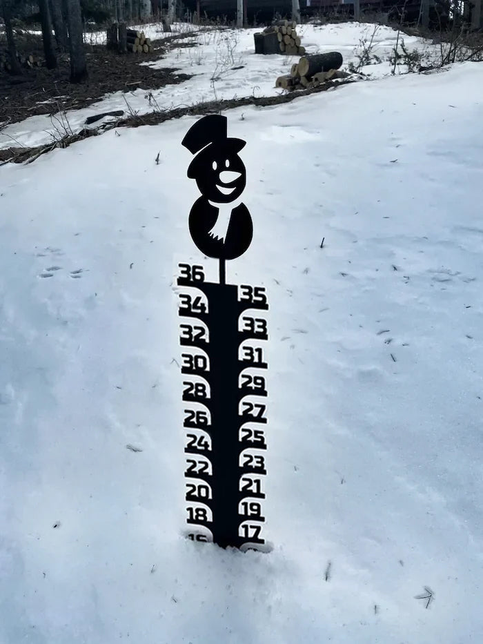 🔥Early Christmas Sale 50% - Iron Art Snow Gauge