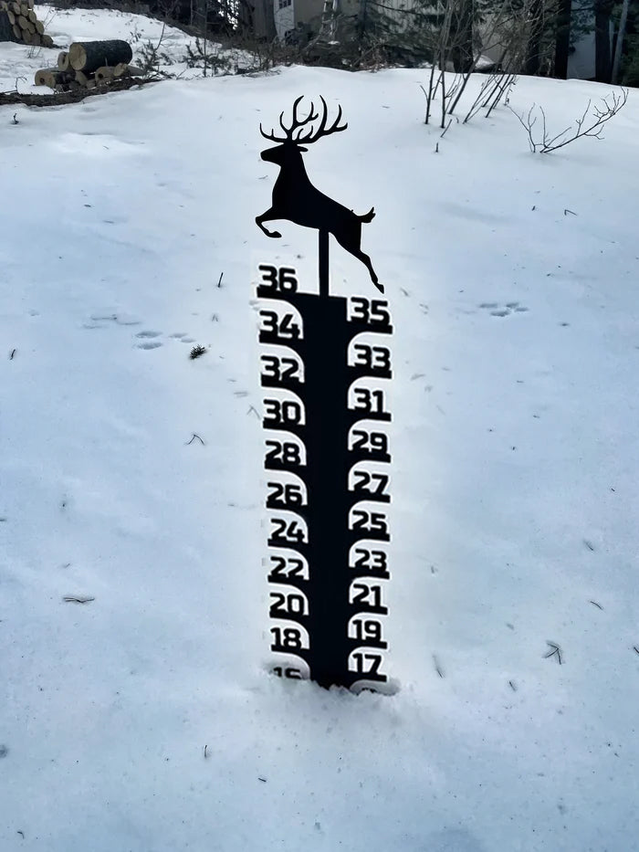🔥Early Christmas Sale 50% - Iron Art Snow Gauge