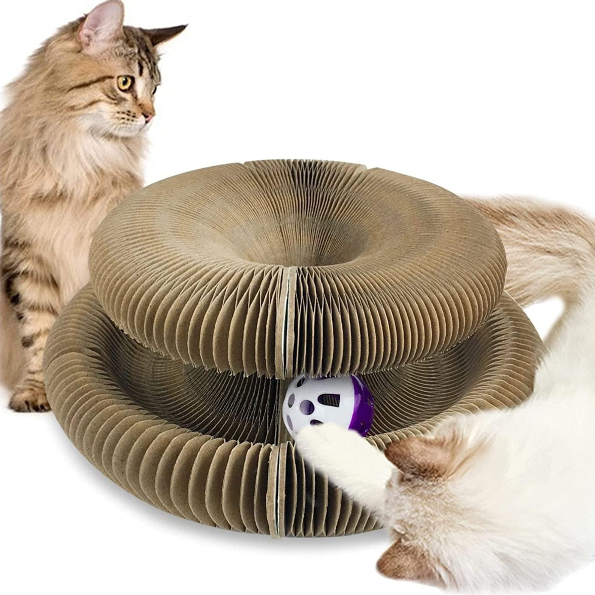🎁Hot Sale🔥Magic Cat Scratching Board
