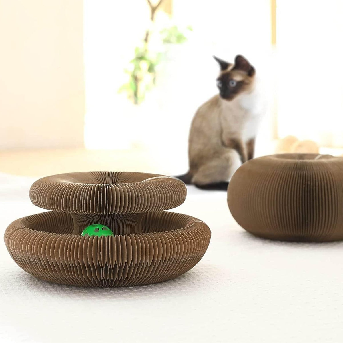 🎁Hot Sale🔥Magic Cat Scratching Board
