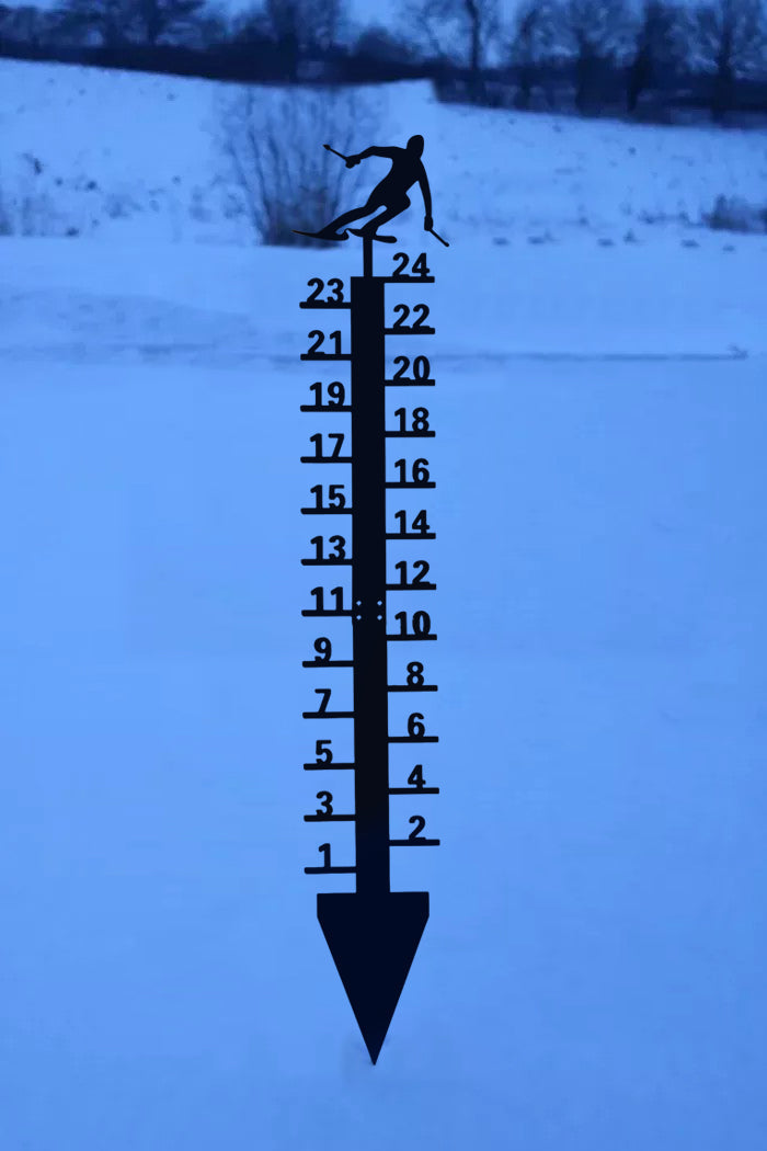 🔥Early Christmas Sale 50% - Iron Art Snow Gauge