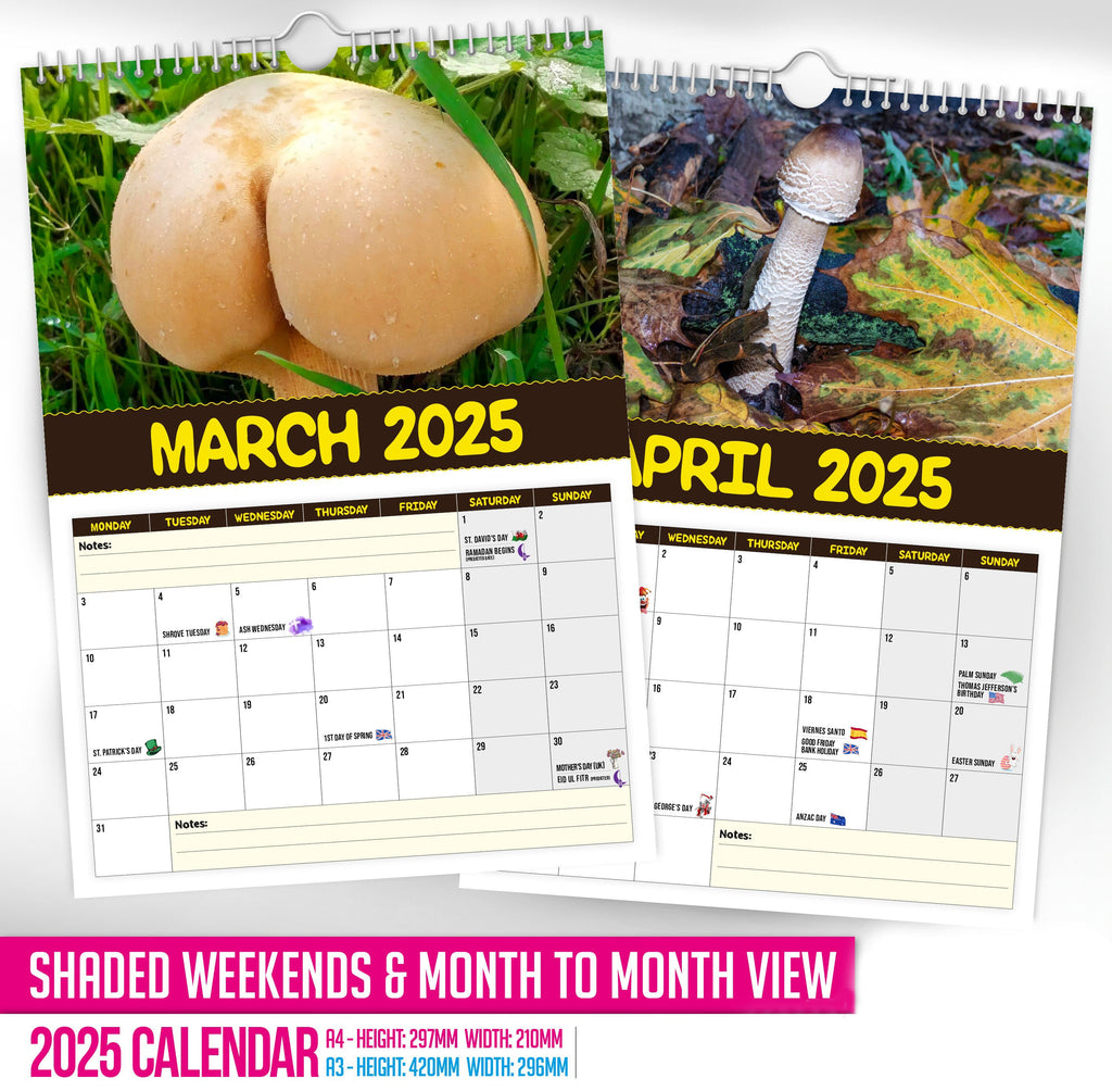 🍄World's Greatest Mushrooms🤣 - 2025 Wall Calendar📅
