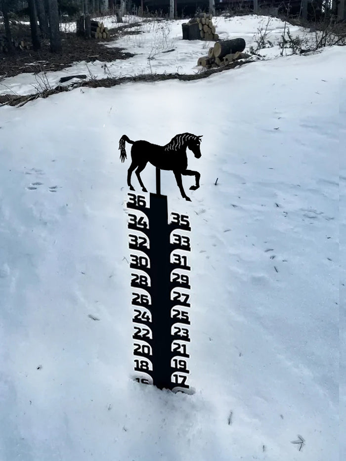 🔥Early Christmas Sale 50% - Iron Art Snow Gauge