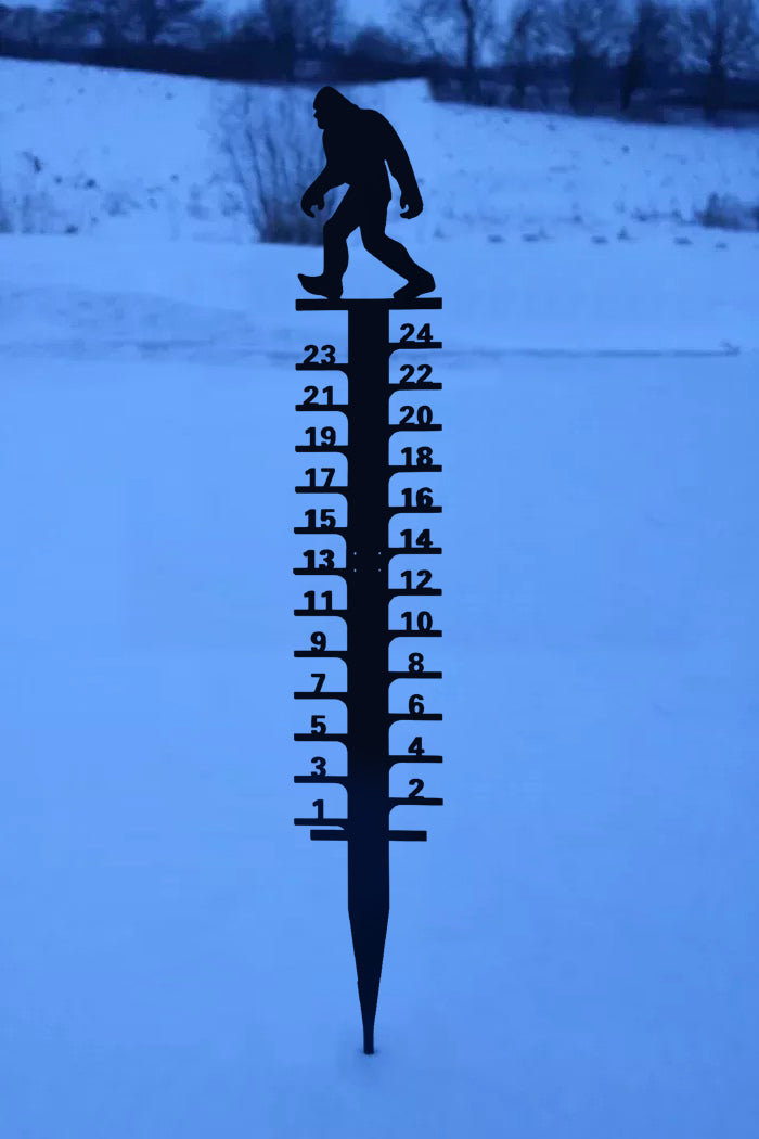🔥Early Christmas Sale 50% - Iron Art Snow Gauge