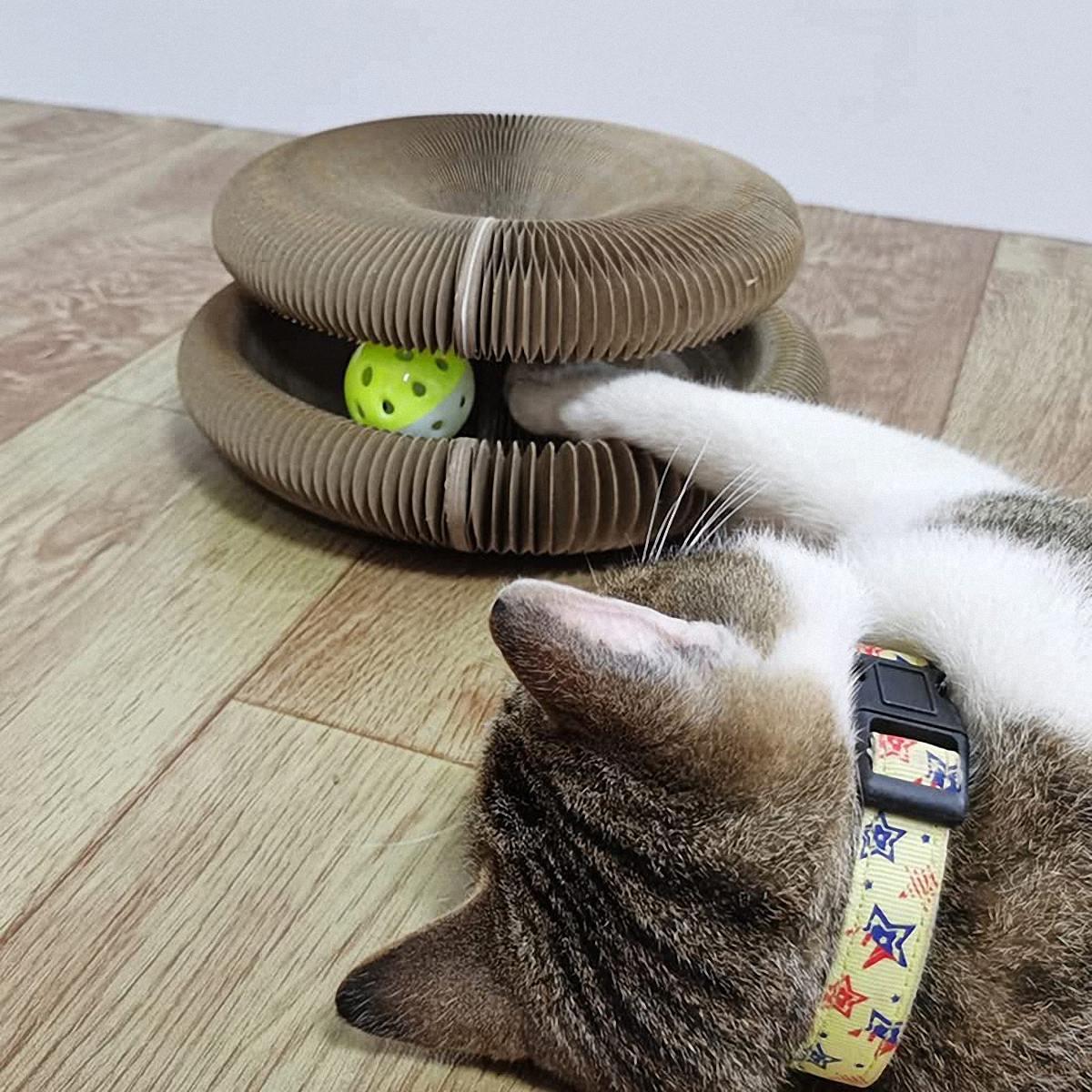 🎁Hot Sale🔥Magic Cat Scratching Board