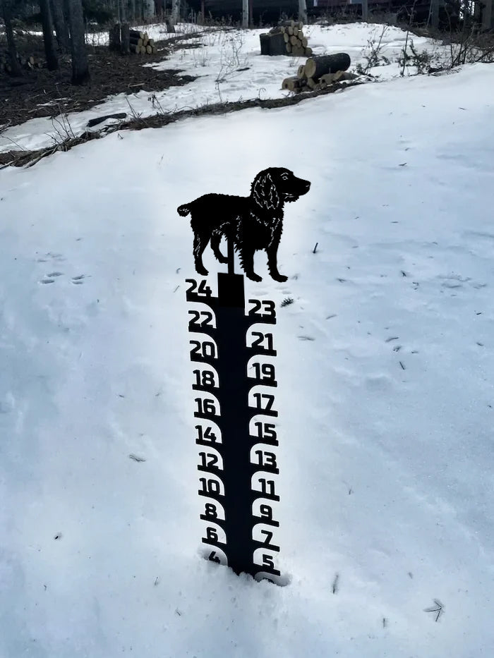 🔥Early Christmas Sale 50% - Iron Art Snow Gauge