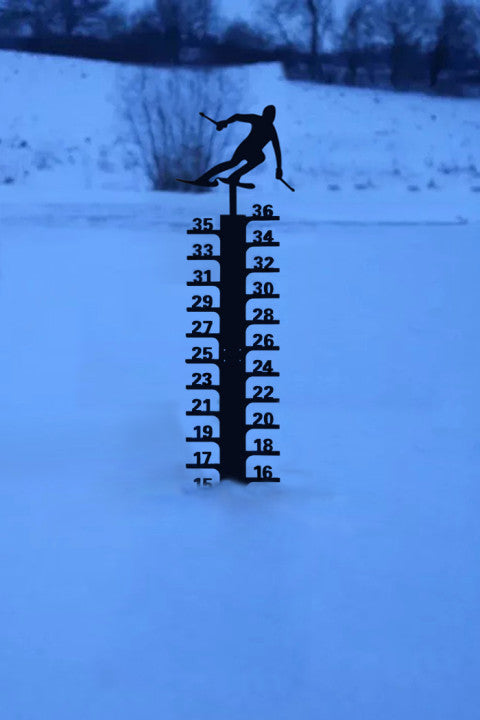 🔥Early Christmas Sale 50% - Iron Art Snow Gauge