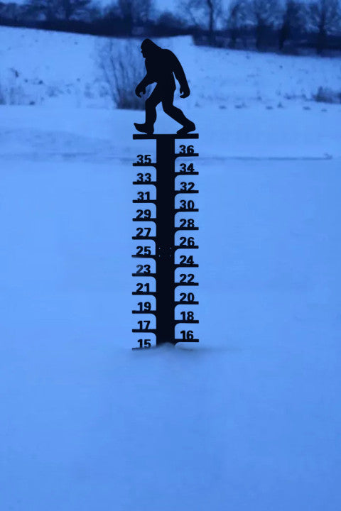 🔥Early Christmas Sale 50% - Iron Art Snow Gauge