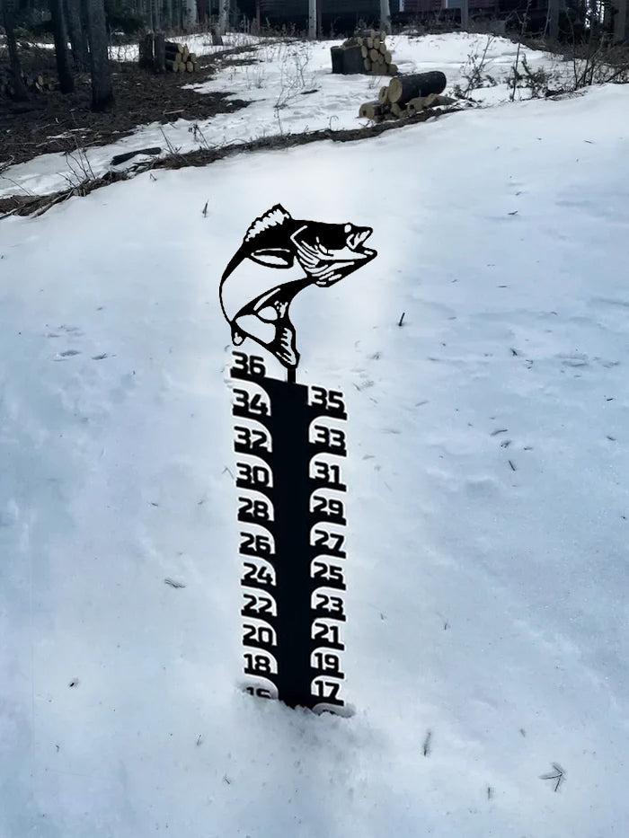 🔥Early Christmas Sale 50% - Iron Art Snow Gauge