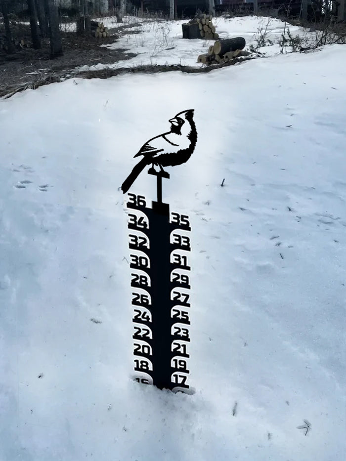 🔥Early Christmas Sale 50% - Iron Art Snow Gauge