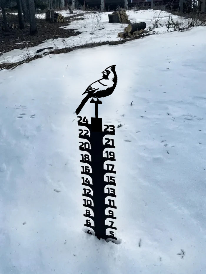 🔥Early Christmas Sale 50% - Iron Art Snow Gauge