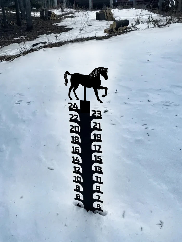 🔥Early Christmas Sale 50% - Iron Art Snow Gauge