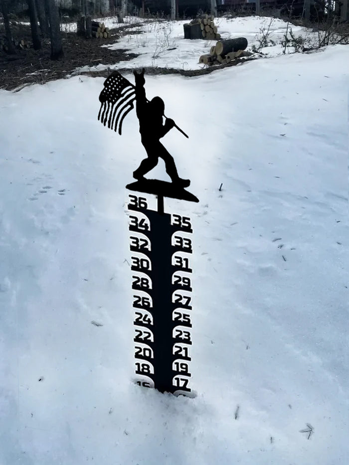 🔥Early Christmas Sale 50% - Iron Art Snow Gauge