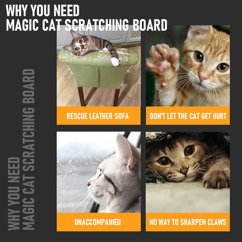 🎁Hot Sale🔥Magic Cat Scratching Board